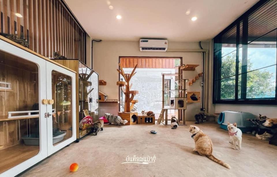 Amaze At Themyth Apartment Mae Rim Bagian luar foto